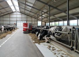 Perdas em fazendas de leite nos EUA podem exceder U$ 2,85 bilhões devido ao COVID-19