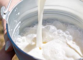 CEPEA: menor oferta de leite eleva os preços ao produtor em junho