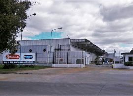 Danone estuda deixar a Argentina em 2021