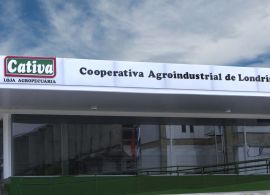 Cooperativa Cativa e Lactalis firmam parceria estratégica