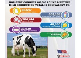 Vaca Holandesa de 14 anos quebra recorde de produção vitalícia de leite